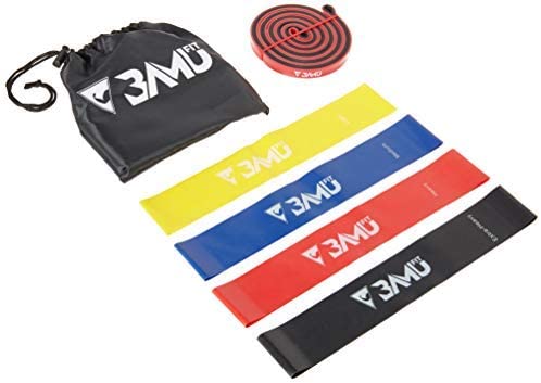 BAMU FIT Resistance Bands for Exercise - Set of 5, 12" x 2" Mini Loop and Pull Up Band Set with Instruction Guide and Large Nylon Bag - Workout...